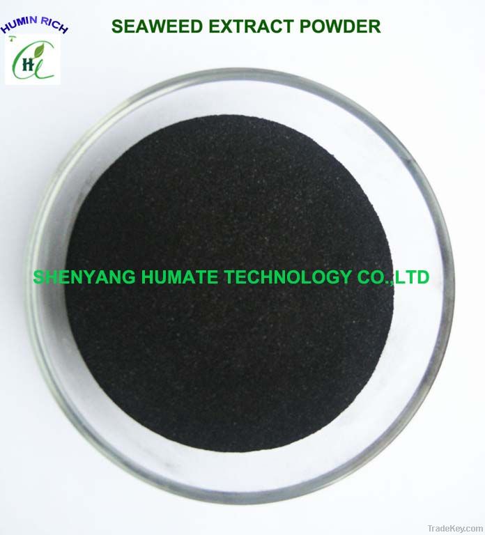 Seaweed Extract Flake/Powder