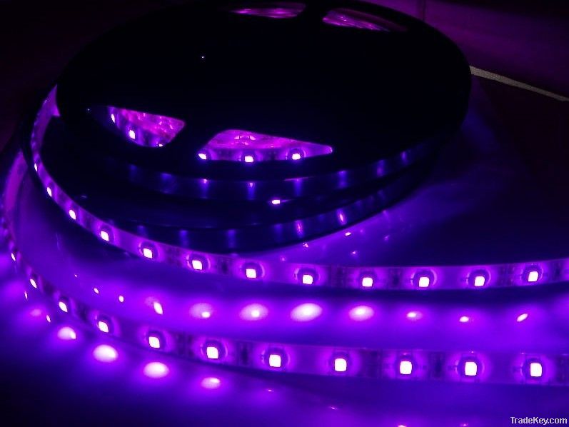 led strip light with factory price