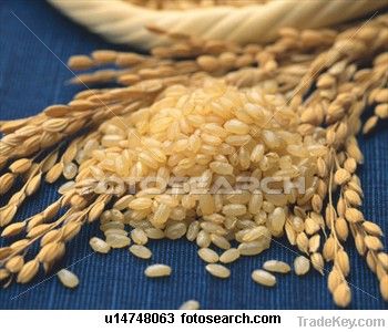 RICE SUPPLIER| PARBOILED RICE IMPORTERS | BASMATI RICE EXPORTER| KERNAL RICE WHOLESALER| WHITE RICE MANUFACTURER| LONG GRAIN TRADER| BROKEN RICE BUYER | IMPORT BASMATI RICE| BUY KERNAL RICE| WHOLESALE WHITE RICE| LOW PRICE LONG GRAIN