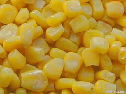 IQF sweet corn kernels