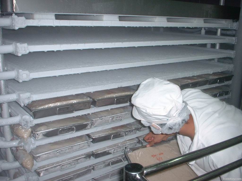 Plate Freezer