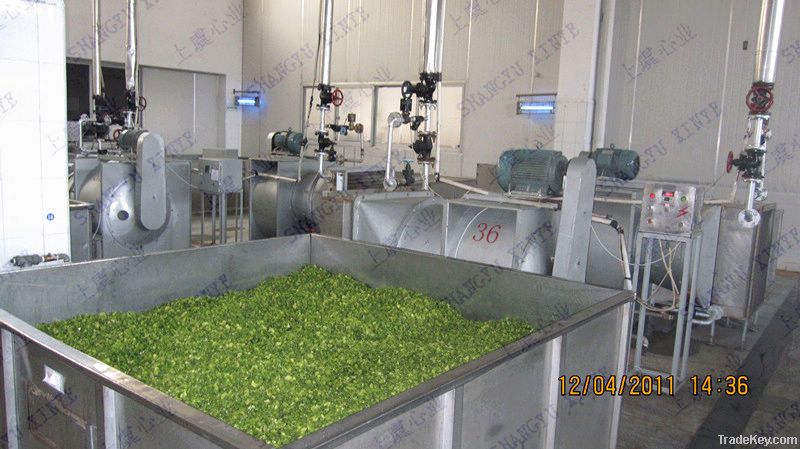 vegetable and fruit drying equipment