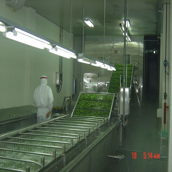 supply vegetable cleaner