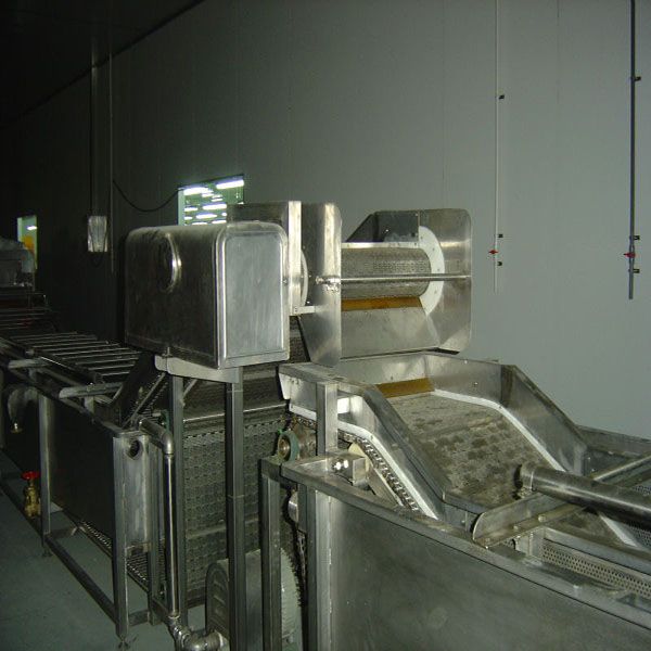 Industrial Vegetable Washer