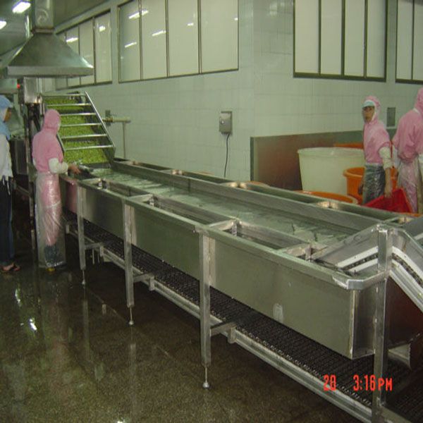 supply lettuce Washing Machine(Cleaner)