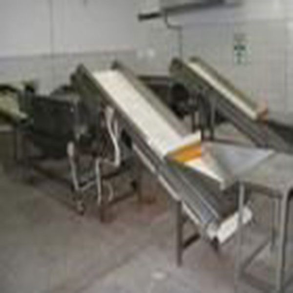 shrimp grading machine