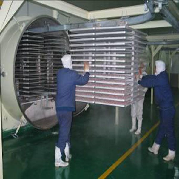 FD vacuum freezing dryer