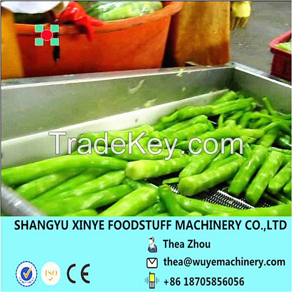 fruit&amp;amp;amp;vegetable pretreatment processing equipment