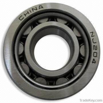 Cylindrical Roller Bearings NJ204