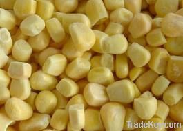 Sweet Corn