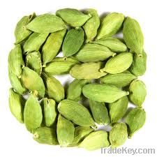 Cardamom small