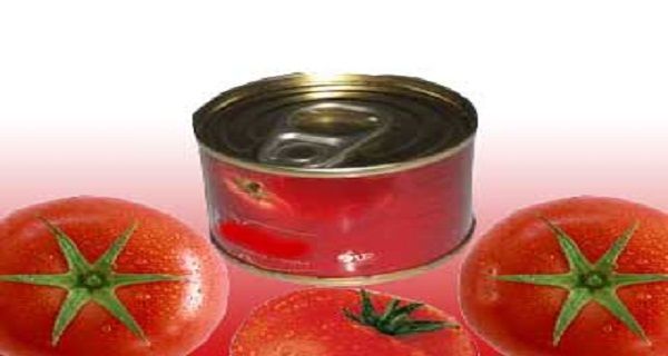 Tomato Paste