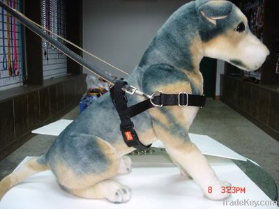 Pet harness and lead