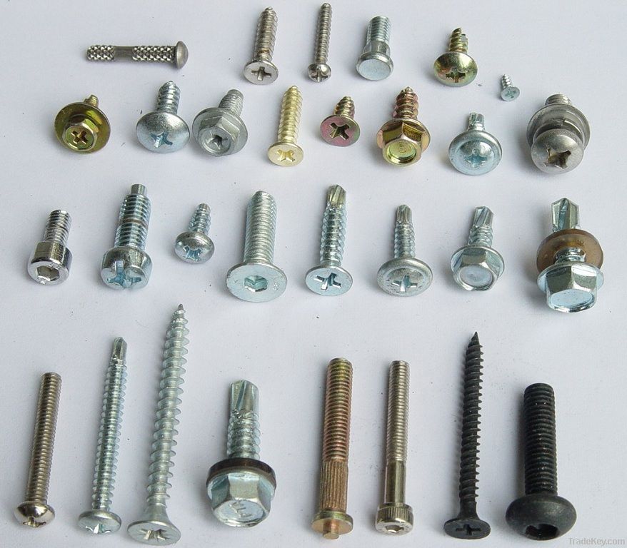 SELFTAPPING SCREWS /SELFDRILLING SCREWS/STAINLESS SCREWS/PHILIPS SCREW