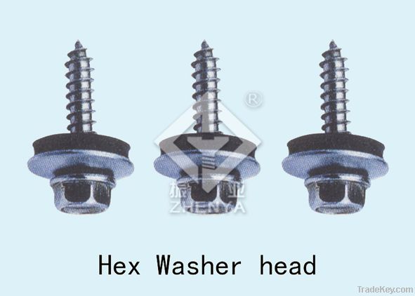 stainless steel self-tapping screw/ self-drilling screw/ wood screw