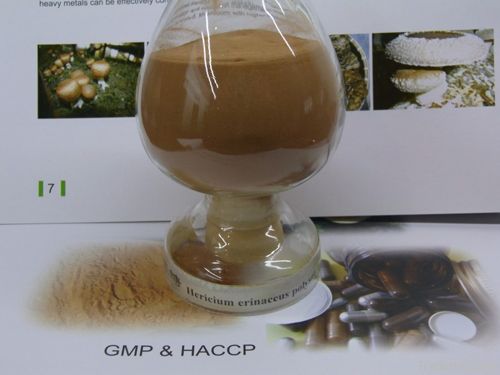 Hericium erinaceus extract