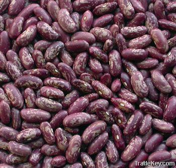 Purple speckled kidney beans (2012 crop)