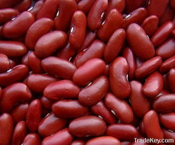 Dark red kidney beans (2012 Crop)