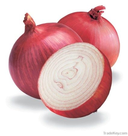 Fresh Red Onions