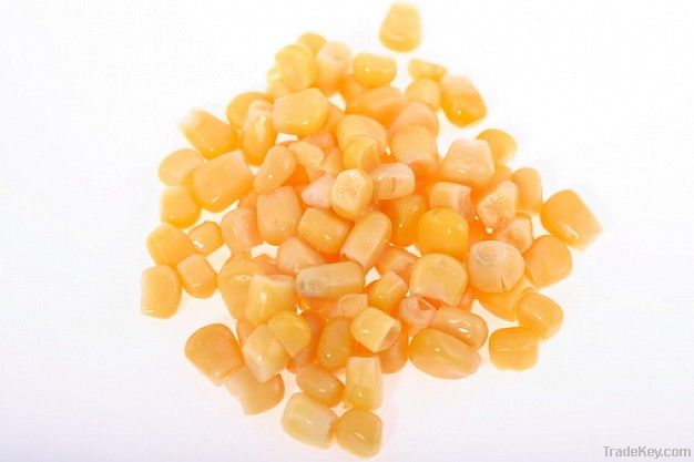 Maize | Maize Exporter | Corn Grain Seller | Maize Buyer | Bulk Maize Grain Importer | Corn bean Buyer | Corn bean Wholesaler | Corn Grain Manufacturer | Best Quality Corn Grain | Cheap Maize Supplier | Low Price Corn | Yellow Corn | White Cron | Baby Mai