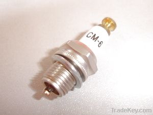 Iridium Spark Plug