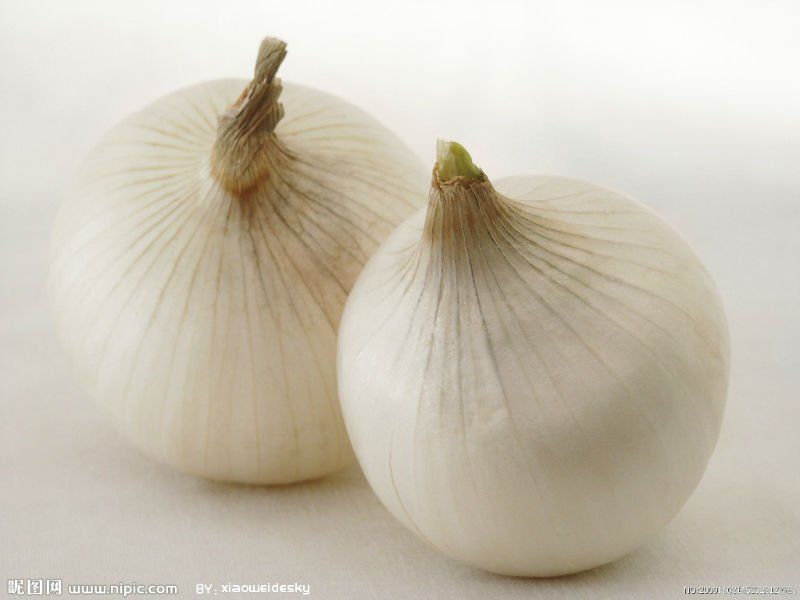 fresh garlic