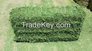 Grade A Primium Green Alfalfa Hay