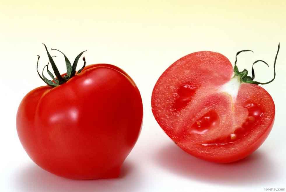 Natural Tomato extract powder, Lycopene (GMP)