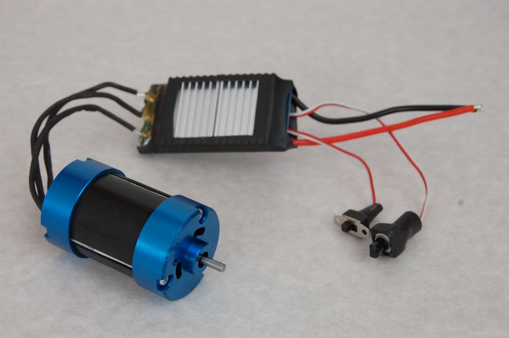 brushless dc motor