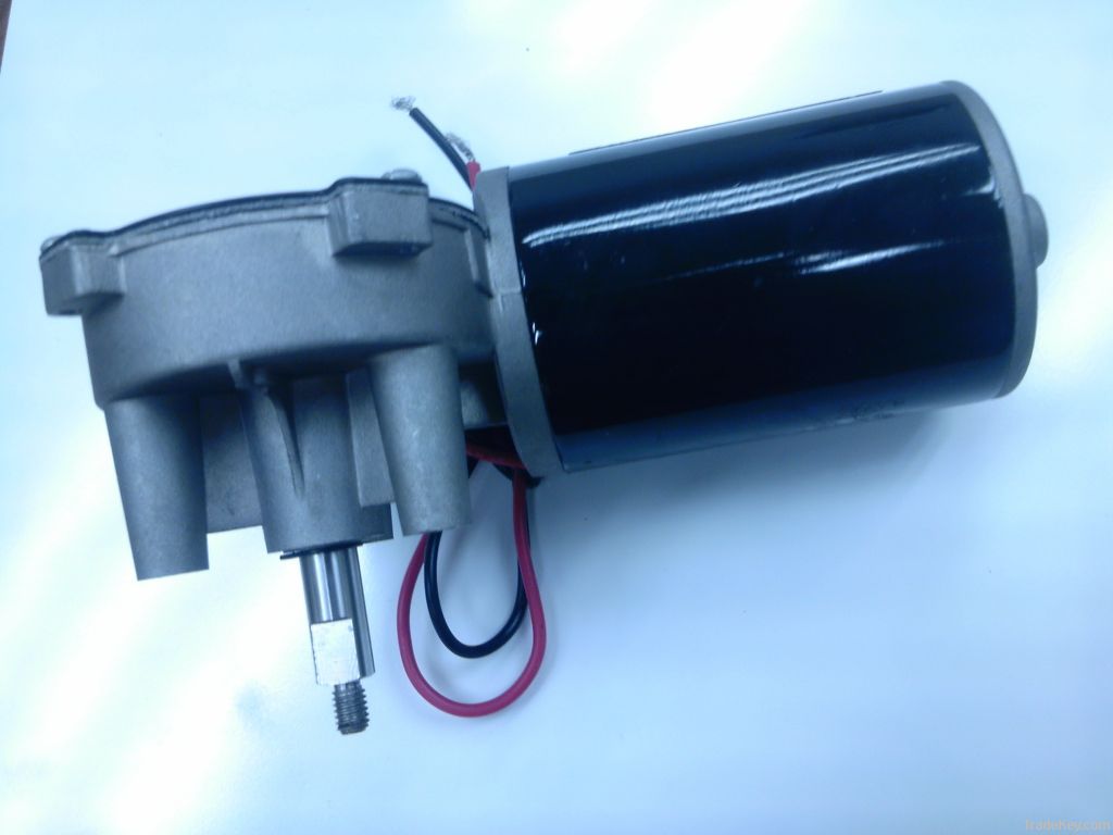 Warm Gear Motor 