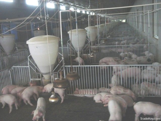 Pig Farrowing Pen, pig farm equipment