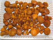 OX Gallstone