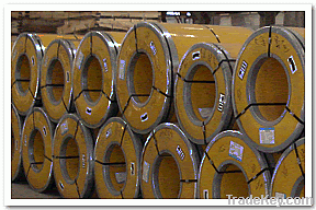 Stainless Steel Coil 304