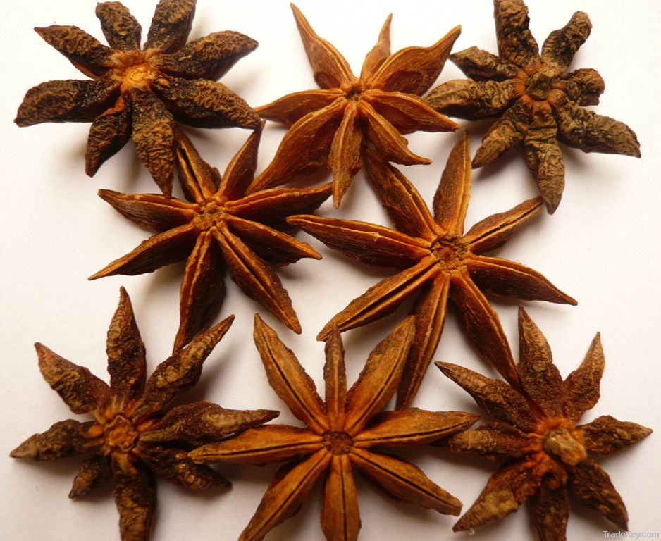 Chinese star aniseed