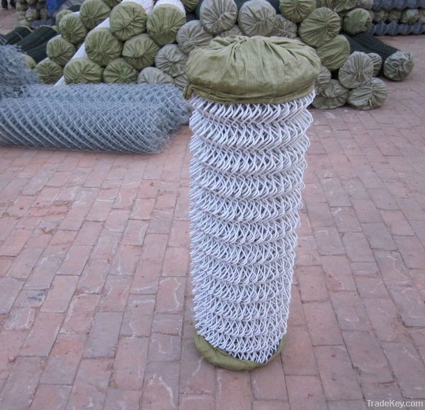 Galvanized and pvc coated chain link fence