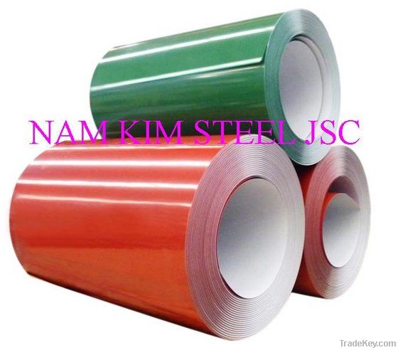 Pre-painted Galvanized Steel Sheet in Coil (PPGI)