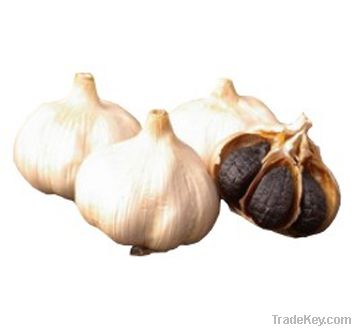 Black garlic