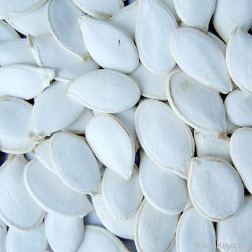 2011 Snow White Pumpkin Seeds