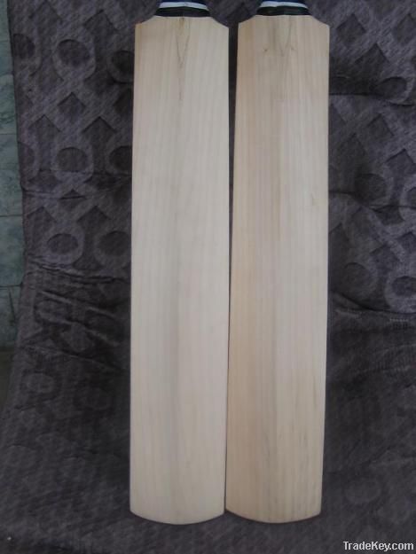 Custom Cricket Bat