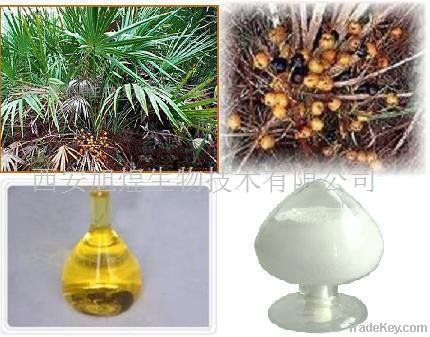 Saw Palmetto Extract