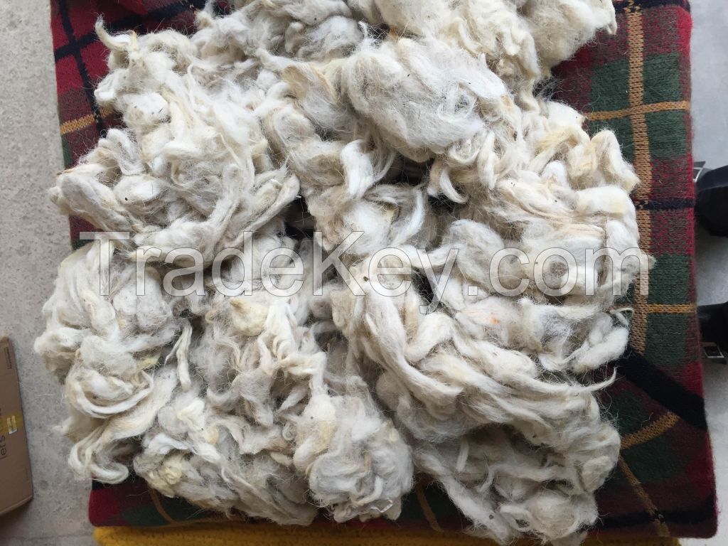 Raw Wool / Animal Hair