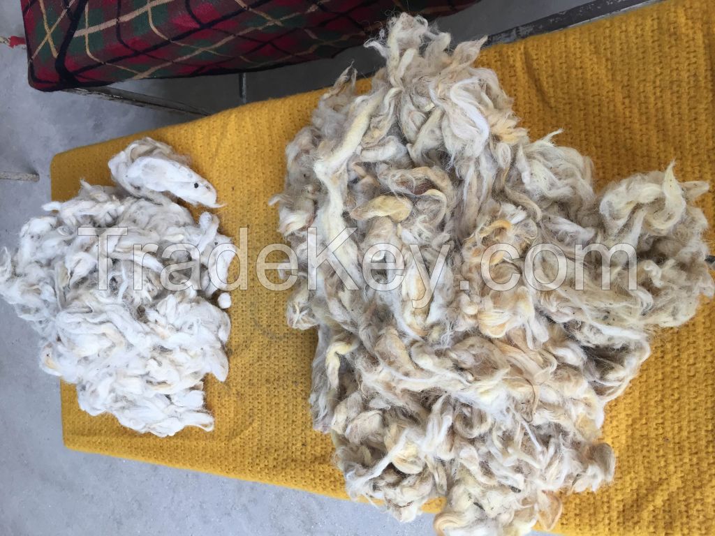 Raw Wool / Animal Hair