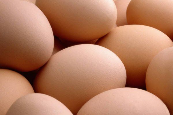 Fresh Brown Eggs