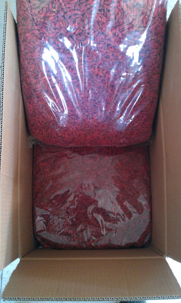 Dried Goji Berries