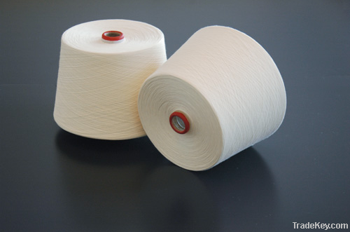 Polyester Yarn