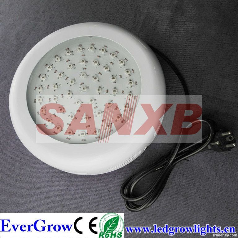 LED Grow Light 90W 