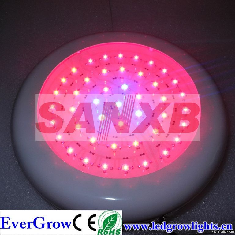 LED Grow Light 90W 