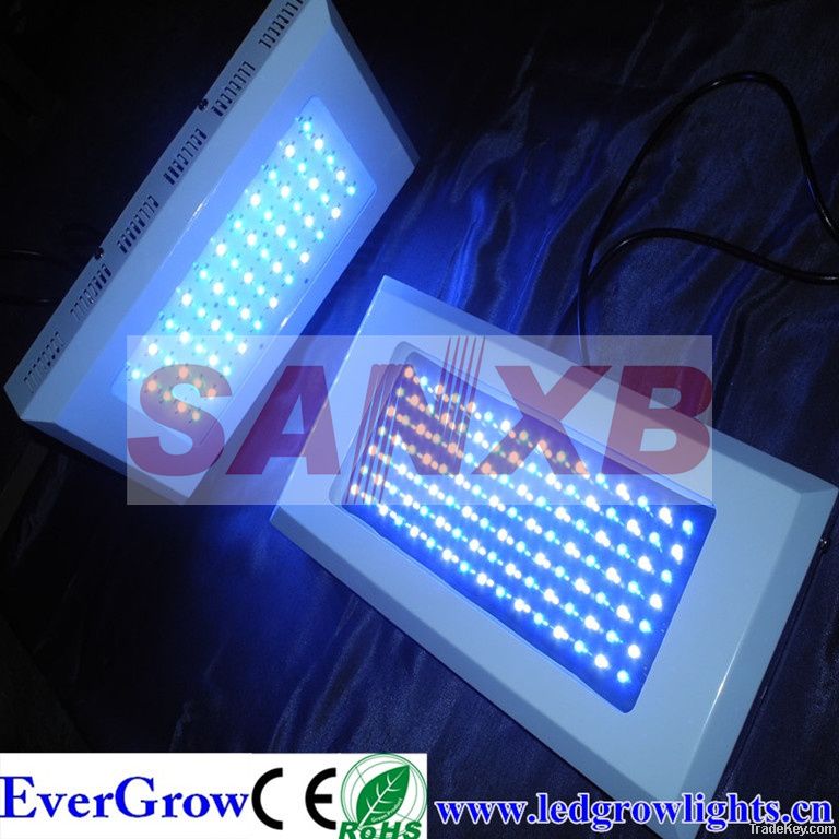 LED Aquarium Light (112*1W)