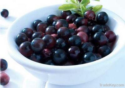 Acai berry extract