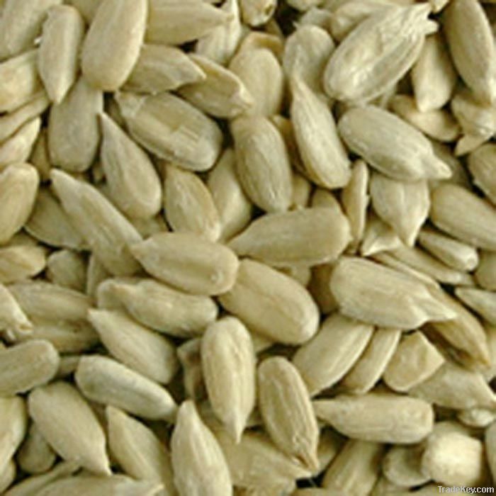 New Crop Sunflower Seeds Suppliers | Sunflower Seed Exporters, | Sunflower Black Seed  | Striped Black Seed | Flowers Seed | Sunflower Kernels